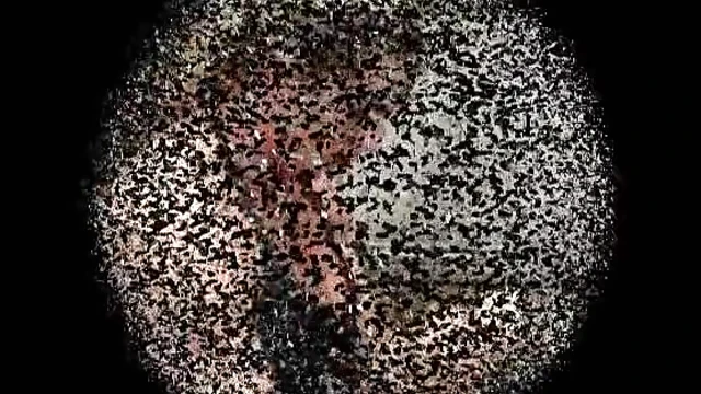 Muscular Mistress Dominates Submissive Slave Hard Core Sexually