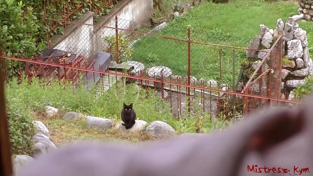 Neglected Sub Licking Mistress's Feet Until She Commands Attention