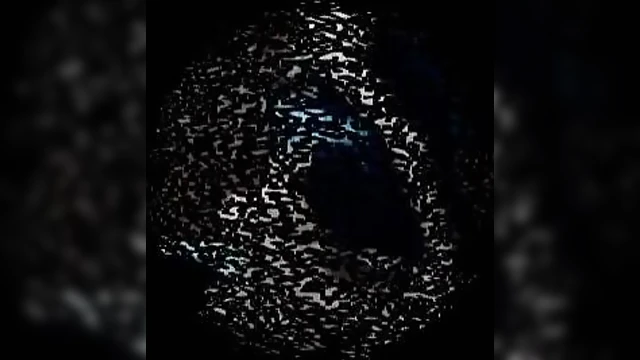 Privileged FemDom Push-Up Training for Submissive Men Seeking Power Play