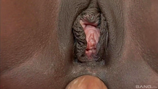 Sultry Curvy Black Beauty Gets Her Ass Fucked Hardcore Delightfully