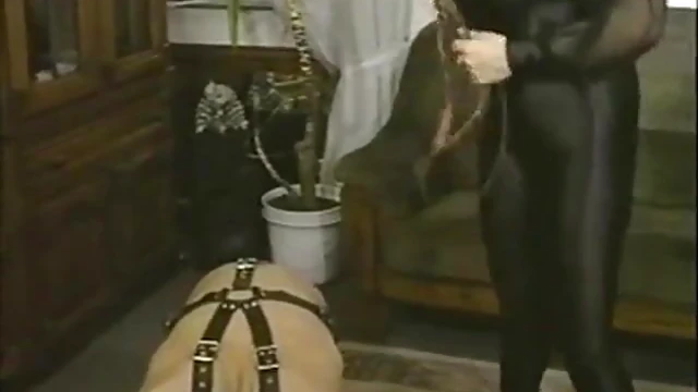 Retro German Classic Porn Stars from the '90s Get Naughty Nostalgic Sex