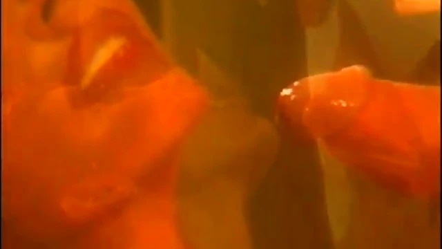 Intense Rough Banging, BDSM Bondage & Male Domination Fantasies Unleashed