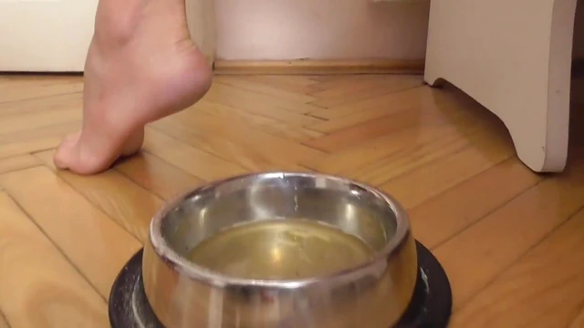 Dominant Femmes Humiliating Slaves While Force Feeding Them Seductively