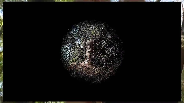 Hot German Girls Dominate Slave With Ruthless Feet Trampling Action