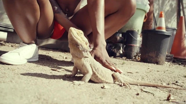 Sultry Black Chick Sarah Banks Gives Blowjob Before Hot Interracial Fuck