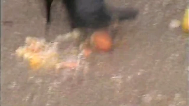 Seductive Femdom Goddesses Dominate Men With Their Seductive Feet