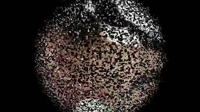 Dreamy Pussy Playtime - Hot Wet Action & Passionate Lovemaking Delights You Need Now!