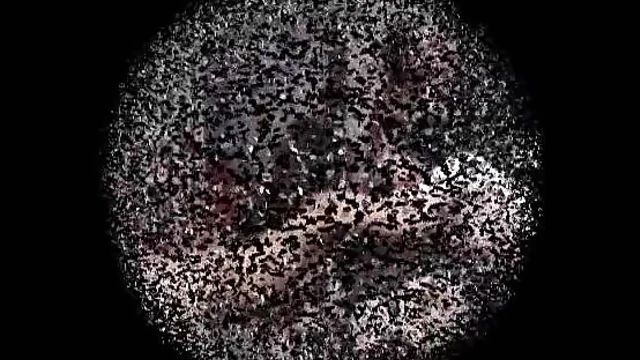 Ebony Mistress Dominates Three Submissive Slaves Sexually