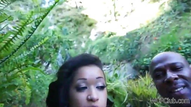 Hot Ebony Beauties Fucked Hard by Thick Black Cocks in Steamy Video