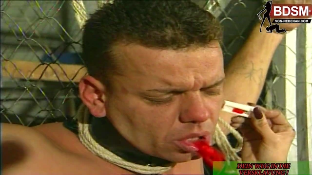 Hot German Short Hair BDSM Mistress Punishes Submissive Slave Guy Hardly