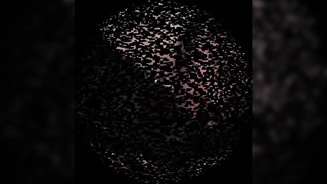 Goddess Gloria's Shoe Worship Ritual Seduces Submissive Fans Deeply