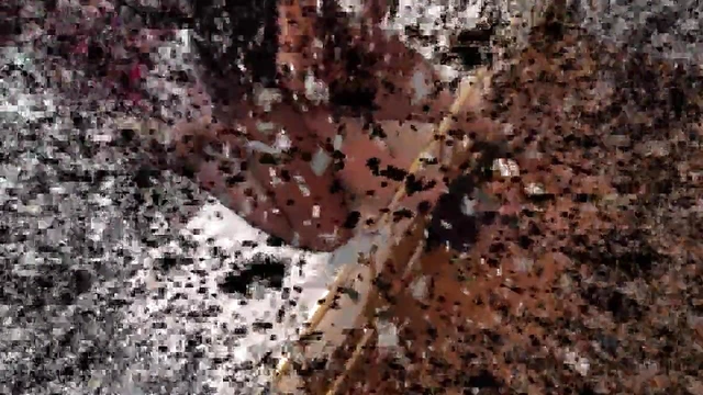 Lesbian Couples Share Passionate Moments Through Tickling Games