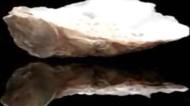 Ebony Goddess Serria Tawan Showcases Her Stunning Beauty Up Close