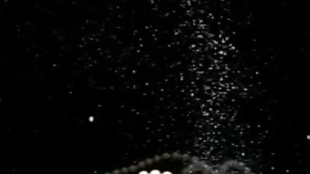 Ebony Goddess Serria Tawan Showcases Her Stunning Beauty Up Close