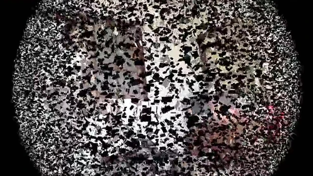 Sultry Chinese Mistresses Tease Their Submissive Slave Sexually