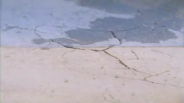 Neferteri Shepherd's Juicy Ebony Body Tempts in Desert Nakedness