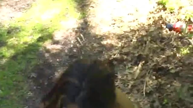 Passionate Indian Cutie Gives Blowjob Before Outdoors Sex Adventure