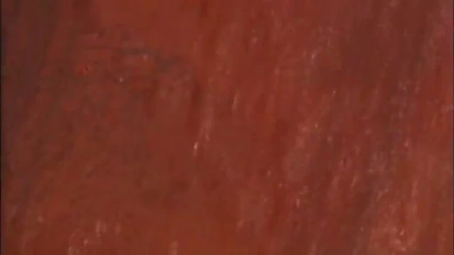 Ebony Bombshell Serria Tawans Stunning Sexy Poolside Solo Showdown