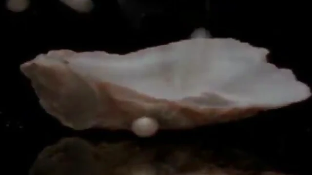 Exotic Ebony Goddess Serria Tawan Tempts With Sultry Desires