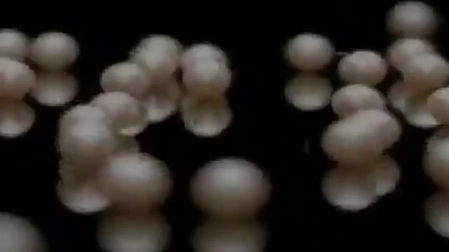 Exotic Ebony Goddess Serria Tawan Tempts With Sultry Desires