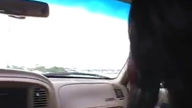 Sexy Curvy Lady Shows Her Big Black Boobs Inside The Car