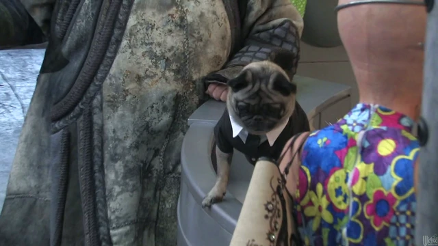 Sexy Sluts Ready Themselves For Extreme and Adventurous Porn Playtime