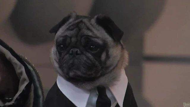 Sexy Sluts Ready Themselves For Extreme and Adventurous Porn Playtime