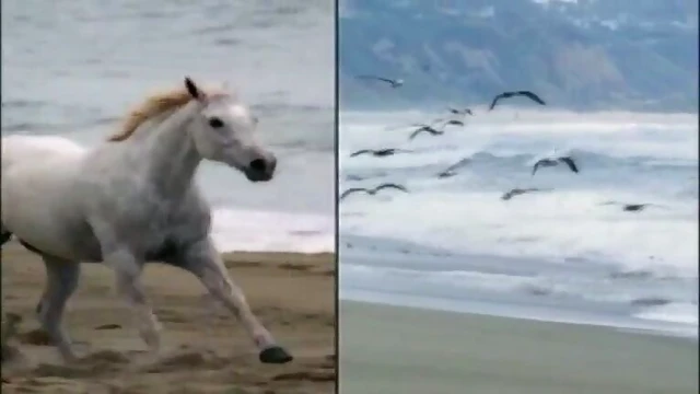 Seductive ebony babe Qiana Chase enjoys intimate beachside pleasures.