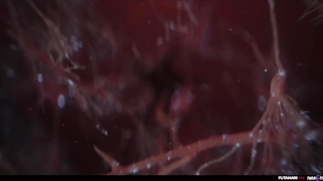 Alien Parasite Futanari Turns Cherry Kiss Into Insatiable Shemale Fuck Fest