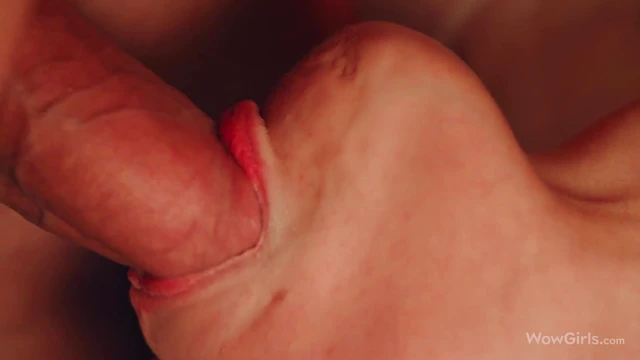 Hot Brunette Evelin Elle Fucks Stranger Hardly On Bed For Ultimate Pleasure