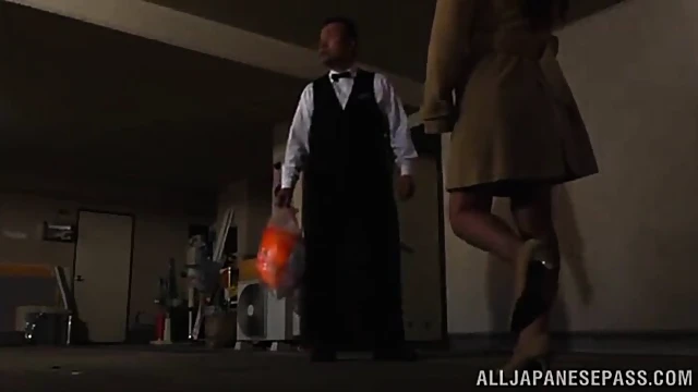 Seductive Long-Haired Lady Gets Banged Hard & Facial Cumshot Delightfully