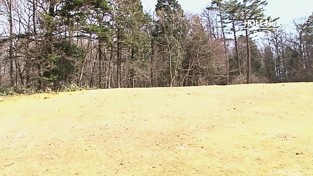 Sultry Japanese Beauties Crave Hard Cock Sucking Sessions