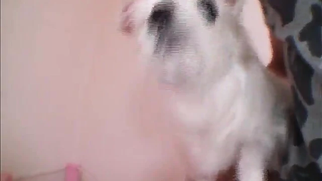 Tsubasa Amami Takes Loads Of Cum With Greedy Lust And Joy