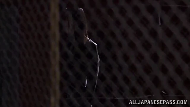 Seductive Japanese Girl In Leather Bodysuit Gets Gangbanged At Work