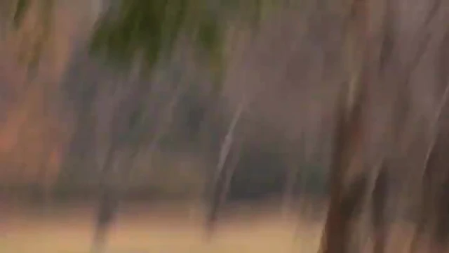 Hot Asian Chick With Plump Tits Enjoys A Steamy Threesome Delightfully