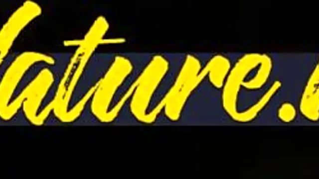 Old & Young Lesbians Get Steamy Together In Maturenl Compilations