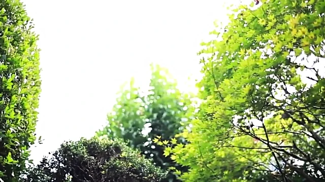 Hot Asami Nagase Enjoys Cock Riding For Ultimate Pleasure Moments