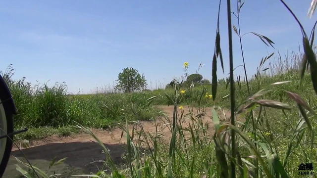 Shy Pale Japanese Wife Enjoys Outdoor Sex Under Blue Sky Blissfully