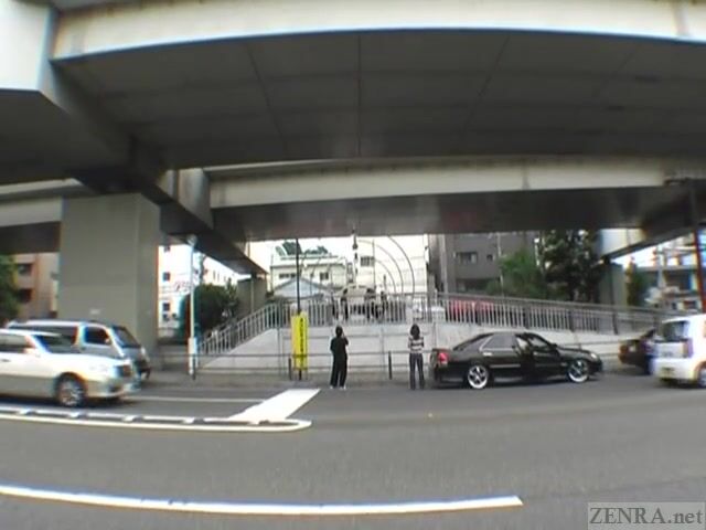 Extreme Subtitling: Hot Japanese Public Nudity Vibrator Play Action