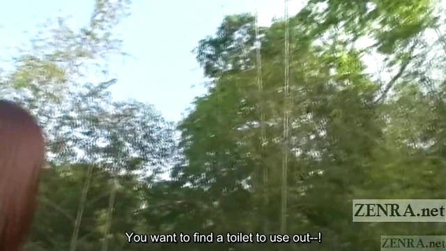 Subtitled Japanese AV Star Goes Public Nudity Walk With Her Man Leashed Up Tight