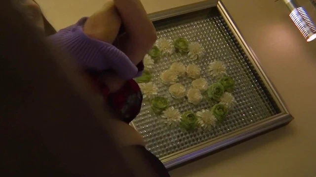 Pregnant Japanese MILF Shows Off Her Busty Treasure in Steamy Video