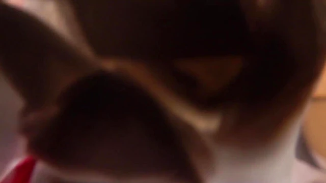 Cute Japanese Group Member Gets Fucked By Manager Pov Wet Squirt Cam Lens Amateur Porn