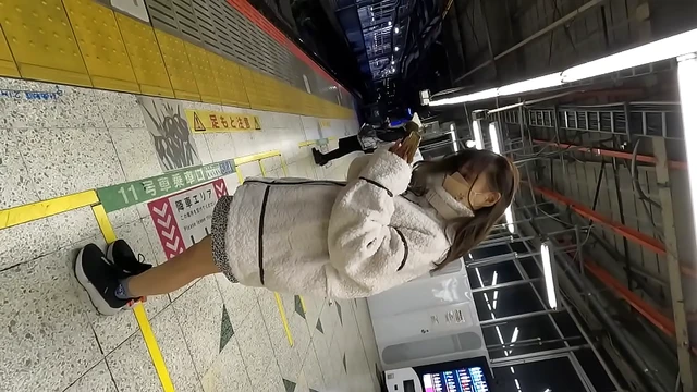 Sneaky Park Encounter, Joining Couple's Picnic Date & Giving Her An Indoor Cumshot Surprise