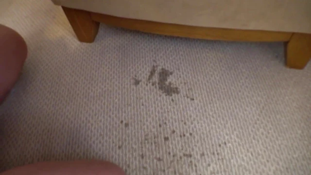 Intense Facial Cumshots And Creampie Orgasm - Simultaneous Pussy & Mouth Fuck Fest