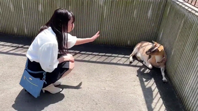 College Girl With Stunning Big Tits Takes Her Date To A Hotel For Hot Sex