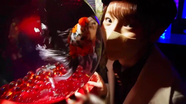 Innocent Rina-Chan’s Obscene Butt Gap Spanked & Fucked By Perverted College Student