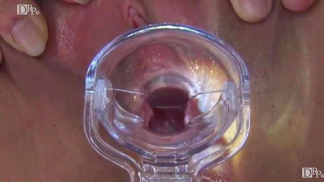 Pussy Picture Book", Popular Series Releases Eight New Works Simultaneously!