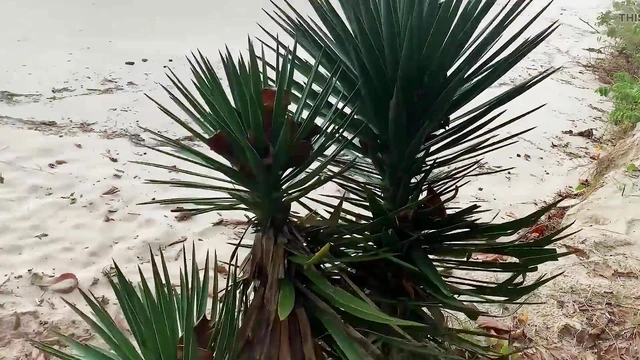 After Unrelenting Anal Sex with This Busty MILF, I Explode My Load for All to See