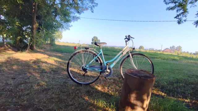 Big slut on the cycle path gets fucked hard on a bench, but a loud tractor ruins the fun.