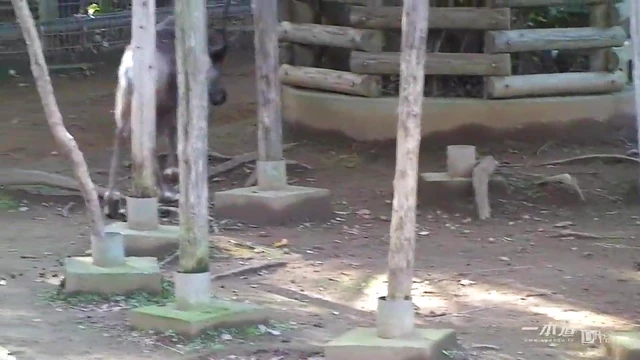 Amber Uta's Post-Love Date Pleasure Fest Begins Right Away